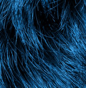 Fondino Ottica Cestaro Altavilla Vicentina